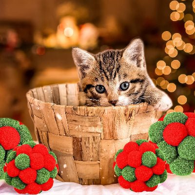 Balle pour Chat - JingleChase™ - Vert Rouge