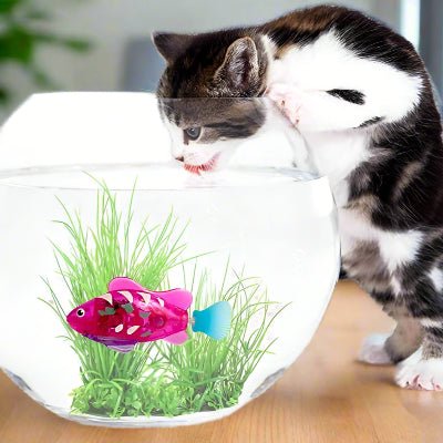 Jouet Interactif Chat  - CatchyFish™ - Fushia