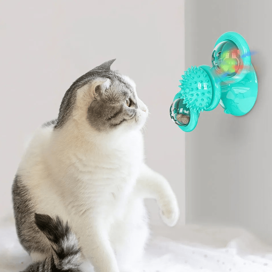 Jouet Pour Chat - MultifunctionalGlowingBall™ - Bleu ciel