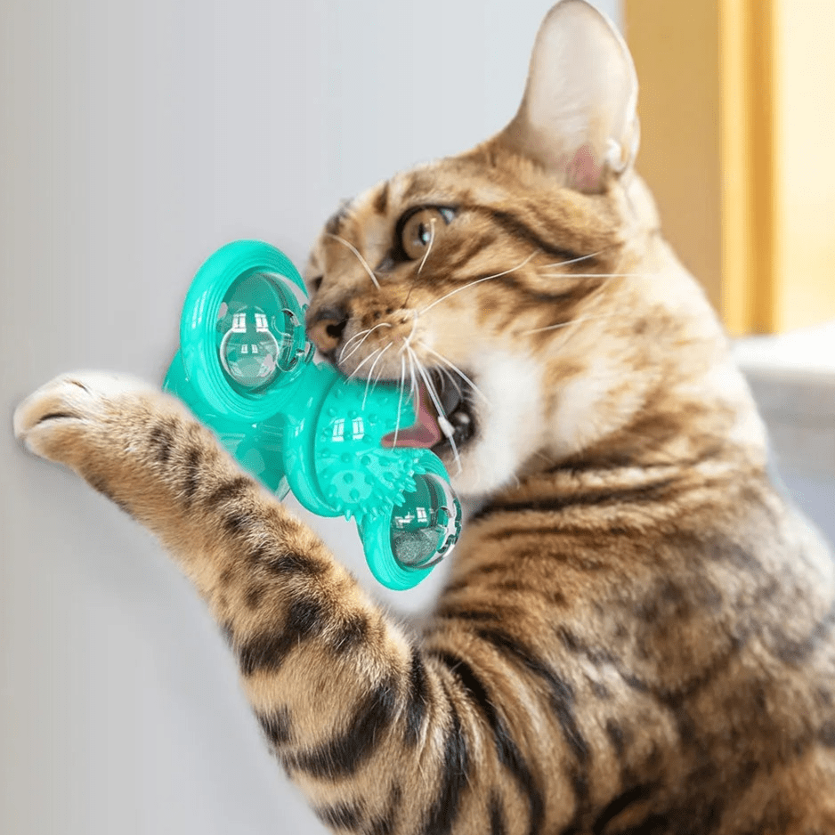 Jouet Pour Chat - MultifunctionalGlowingBall™ - Bleu ciel