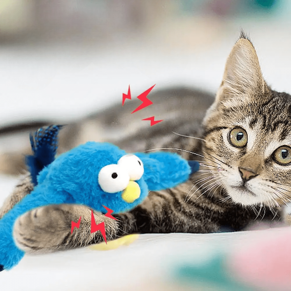 Jouets Interactifs Pour Chat - ChirpingFlappingBird™ - Bleu