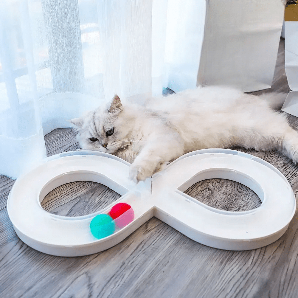 Jouets Interactifs Pour Chat - HouseholdTurntableTunnel™ - Blanc