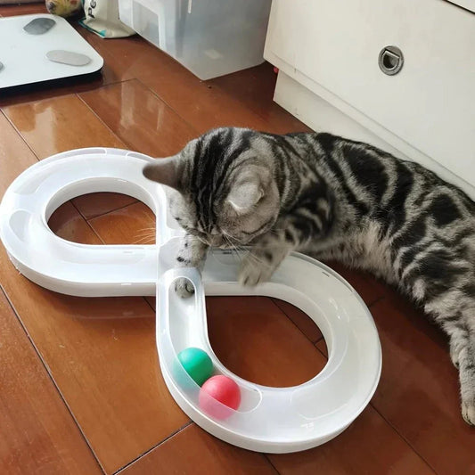Jouets Interactifs Pour Chat - HouseholdTurntableTunnel™ - Blanc