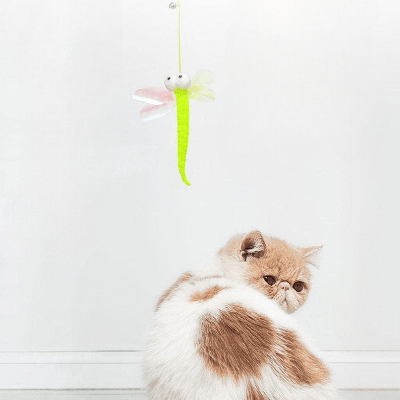 Jouet Chat Interactif - JumpPaw™ - Libellule