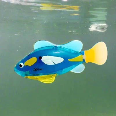 Jouet Interactif Chat  - CatchyFish™ - Bleu