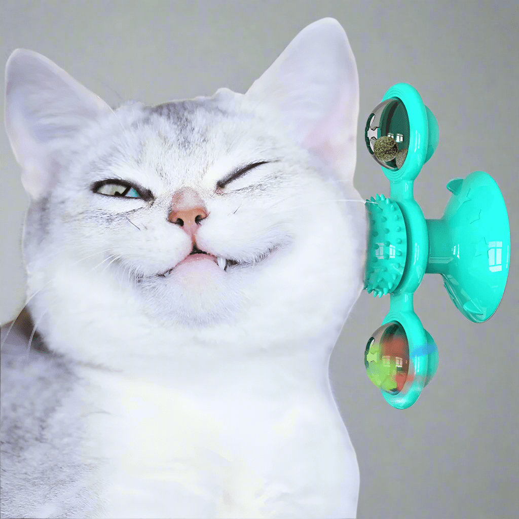 Jouet Pour Chat - MultifunctionalGlowingBall™ - Bleu ciel