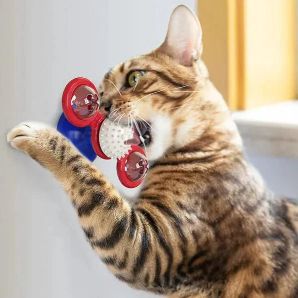 Jouet Pour Chat - MultifunctionalGlowingBall™ - Rouge