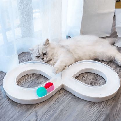 Jouets Interactifs Pour Chat - HouseholdTurntableTunnel™ - Blanc
